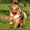 Sonntagsspaziergang