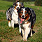 Sonntagsspaziergang