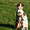 Sonntagsspaziergang
