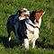 Sonntagsspaziergang