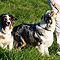 Sonntagsspaziergang