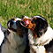 Sonntagsspaziergang
