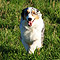 Sonntagsspaziergang