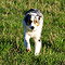 Sonntagsspaziergang