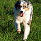 Sonntagsspaziergang