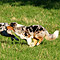 Sonntagsspaziergang