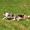 Sonntagsspaziergang