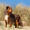 Ostern an der Nordsee