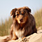 Ostern an der Nordsee