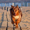 Ostern an der Nordsee