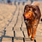 Ostern an der Nordsee