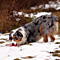 Sternchen-Besuch