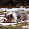Sternchen-Besuch