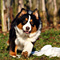 Sternchen-Besuch