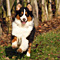 Sternchen-Besuch