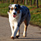 Sternchen-Besuch