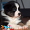 Sternchen-Besuch