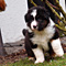 Sternchen-Besuch