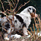 Sternchen-Besuch