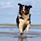 Sommerurlaub in D�nemark