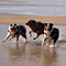 Sommerurlaub in D�nemark