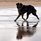 Sommerurlaub in D�nemark
