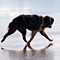 Sommerurlaub in D�nemark