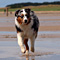 Sommerurlaub in D�nemark