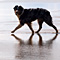 Sommerurlaub in D�nemark