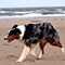 Sommerurlaub in D�nemark