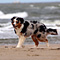 Sommerurlaub in D�nemark