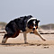 Sommerurlaub in D�nemark