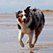 Sommerurlaub in D�nemark