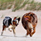Sommerurlaub in D�nemark