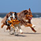 Sommerurlaub in D�nemark