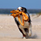Sommerurlaub in D�nemark