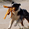 Sommerurlaub in D�nemark