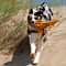 Sommerurlaub in D�nemark