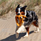 Sommerurlaub in D�nemark