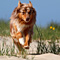 Sommerurlaub in D�nemark
