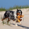 Sommerurlaub in D�nemark