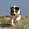 Sommerurlaub in D�nemark