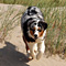 Sommerurlaub in D�nemark