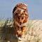 Sommerurlaub in D�nemark