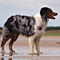 Sommerurlaub in D�nemark