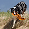 Sommerurlaub in D�nemark