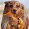 Sommerurlaub in D�nemark