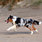 Sommerurlaub in D�nemark