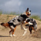 Sommerurlaub in D�nemark