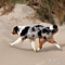 Sommerurlaub in D�nemark